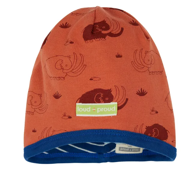 loud-proud-classics-wendem-tze-druck-cinnamon-ringel image 1