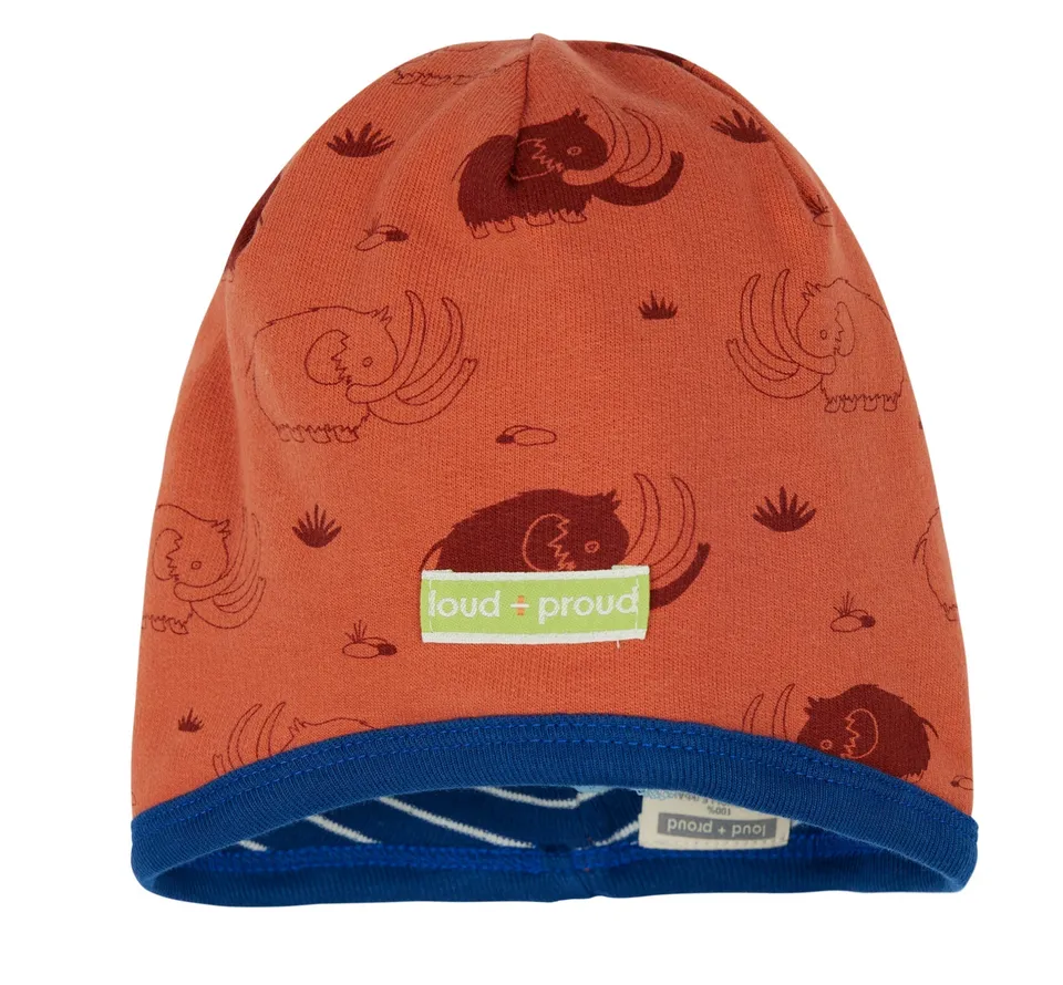 loud-proud-classics-wendem-tze-druck-cinnamon-ringel image 1