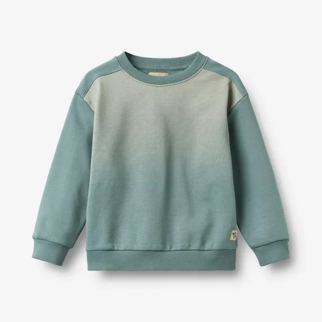 wheat-ellis-fade-stormy-sea-sweatshirt-bio-baumwolle-jungen image 1