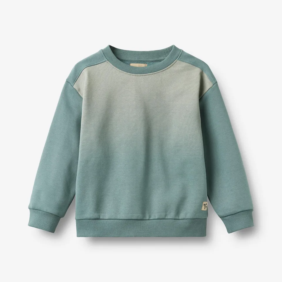 wheat-ellis-fade-stormy-sea-sweatshirt-bio-baumwolle-jungen image 1