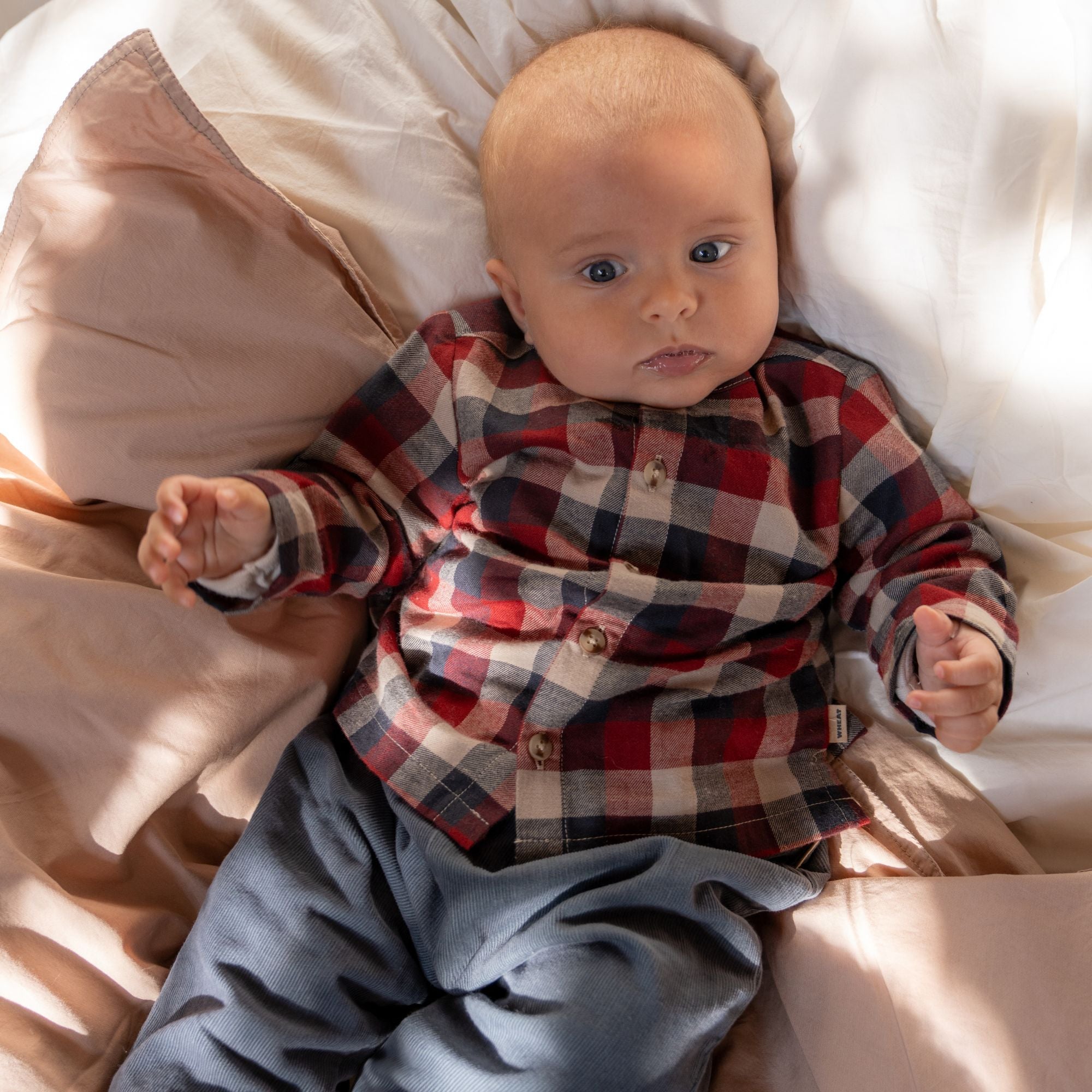 wheat-shelby-hemd-red-blue-check-bio-baumwolle-baby image 2