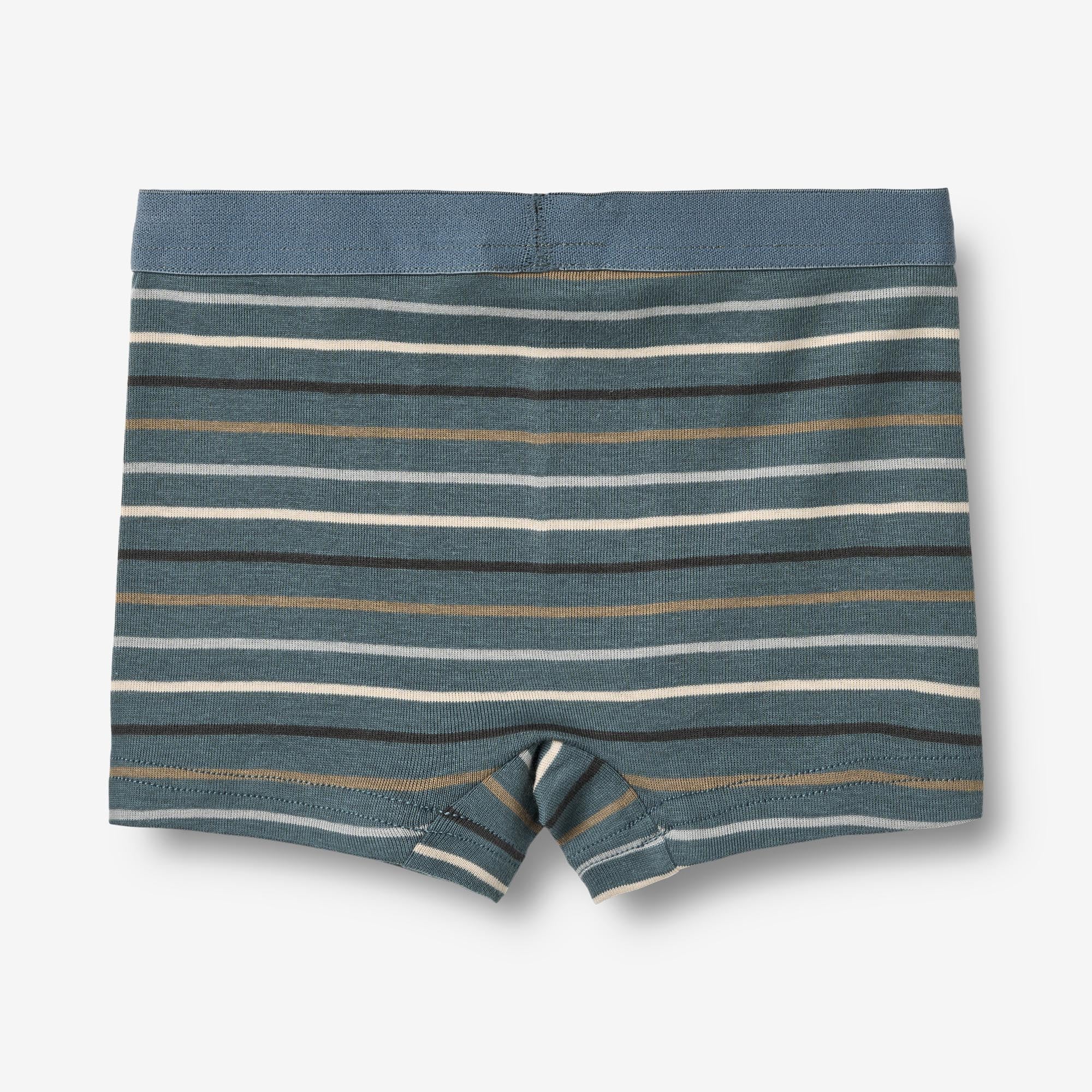 wheat-lui-unterw-sche-set-blue-multi-stripe-bio image 5