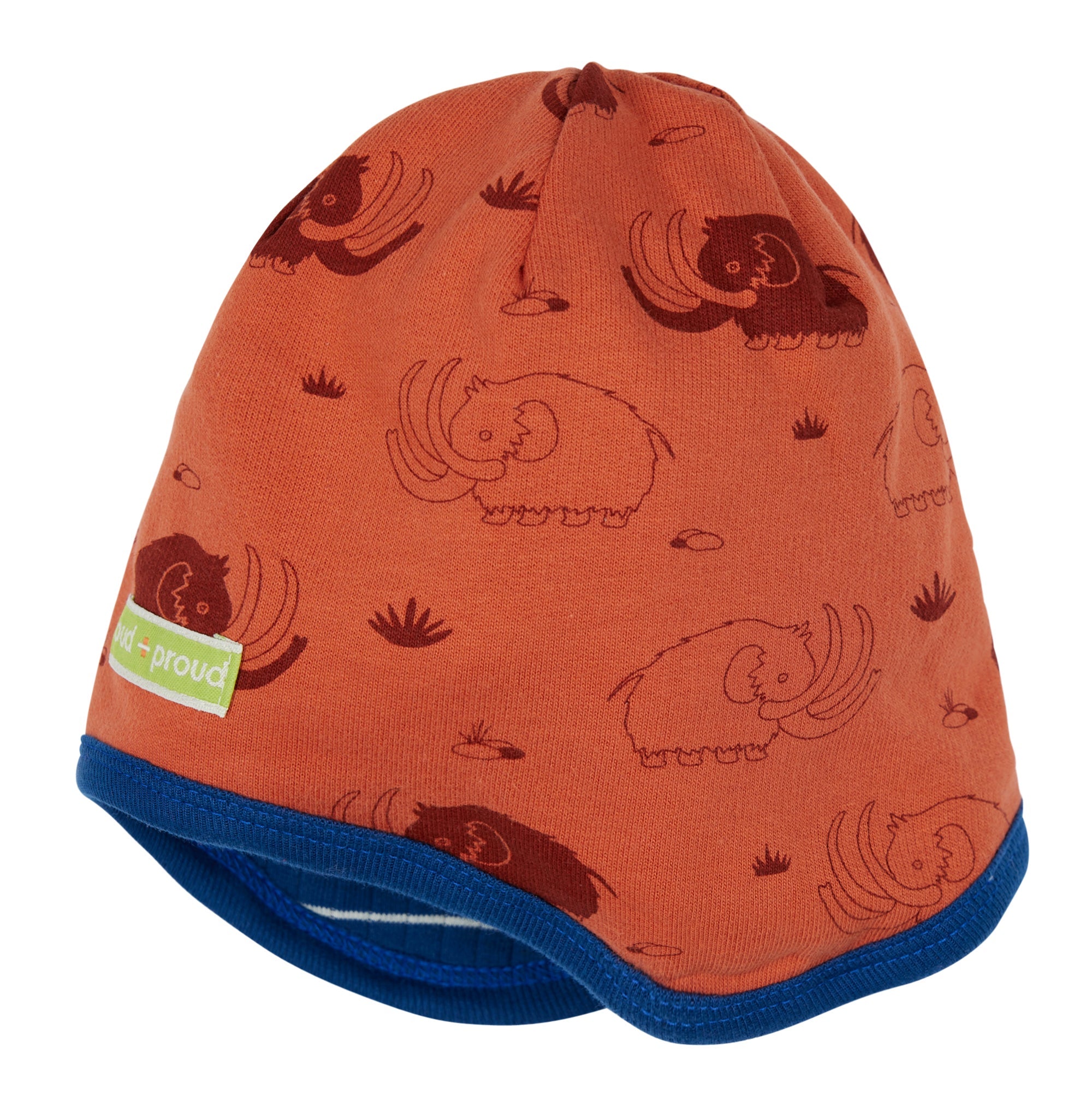 loud-proud-classics-wendem-tze-druck-cinnamon-ringel image 3