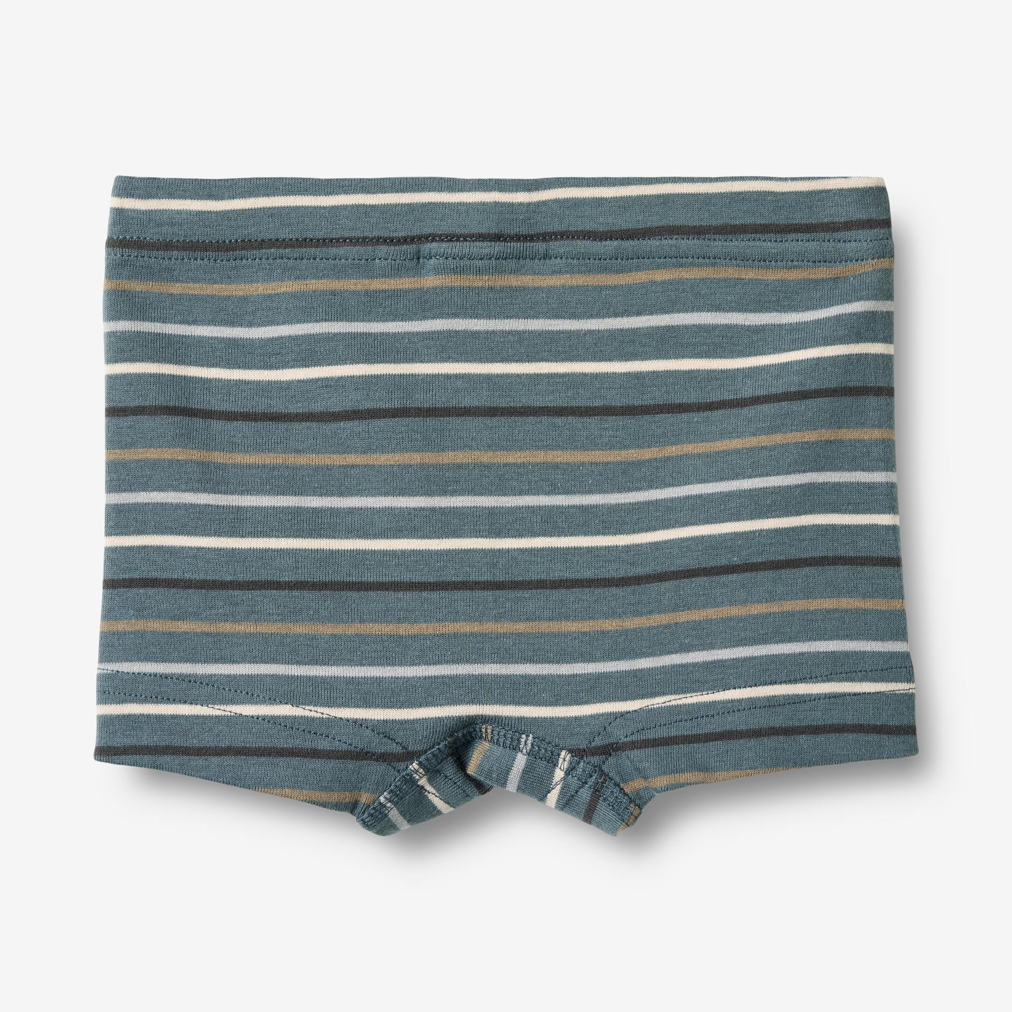 wheat-louis-boxershorts-2er-set-blau-gestreift-bio-baumwolle image 5