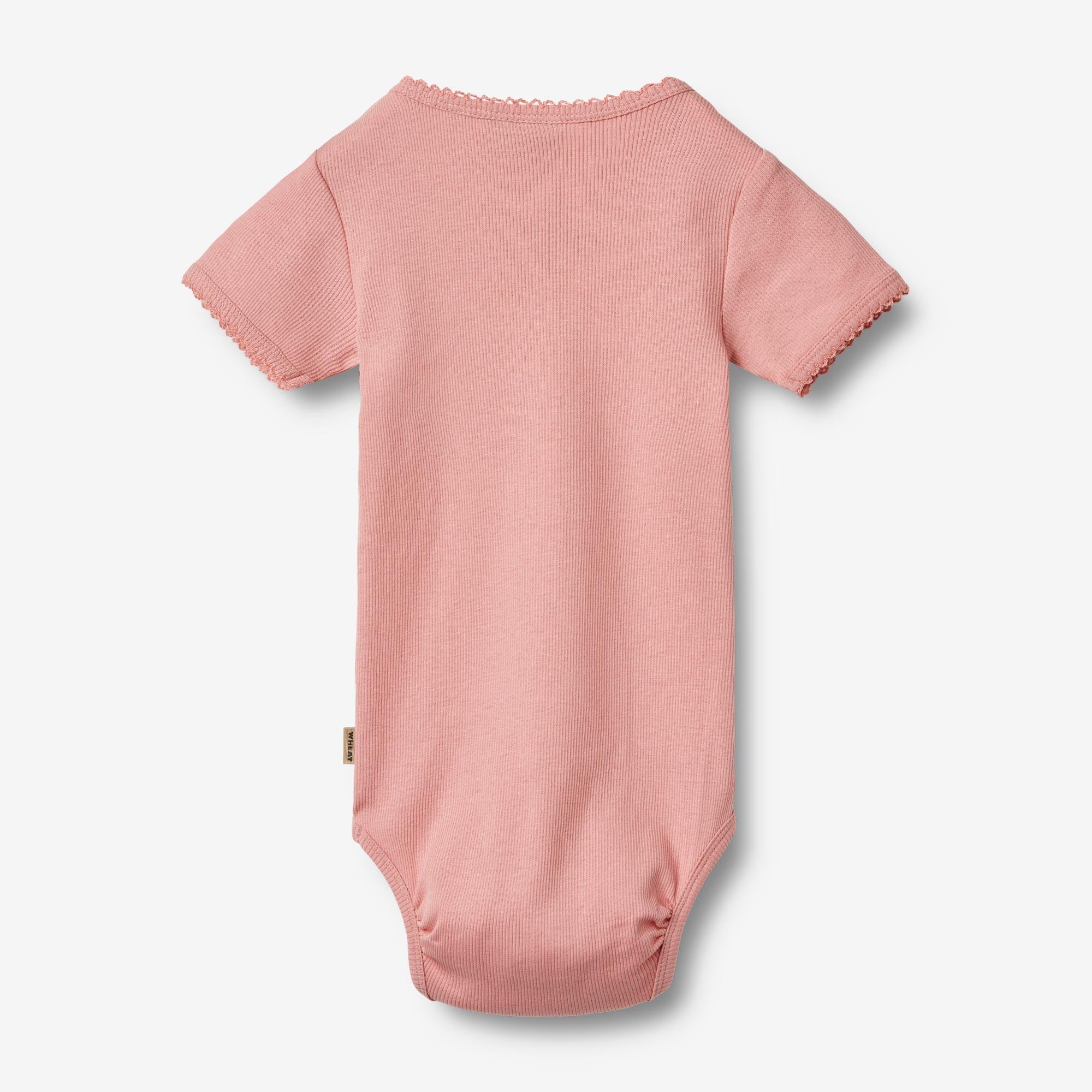 wheat-elisa-rip-body-kurzarm-rose-spitze-bio image 2