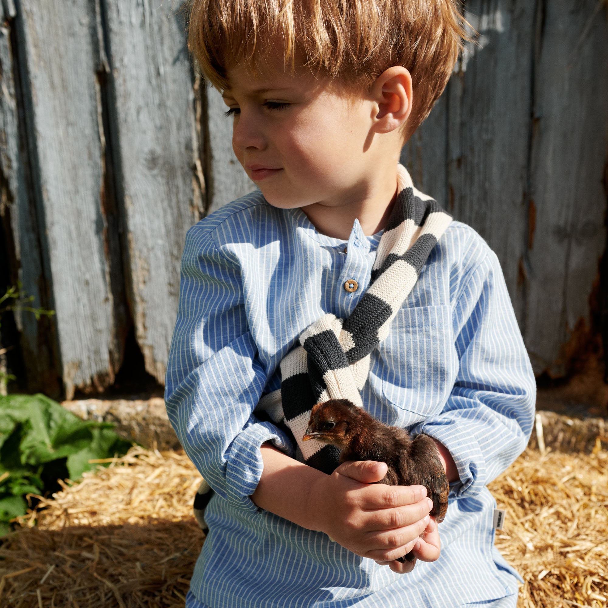 wheat-morgan-strickpullover-navy-stripe-bio image 2