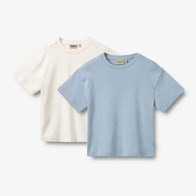 wheat-tommy-t-shirt-2er-faded-blue-stripe-bio image 1
