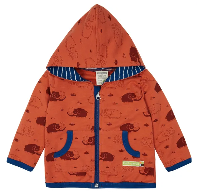 loud-proud-classics-jacke-druck-topaz-98-104-sweatjacke image 1