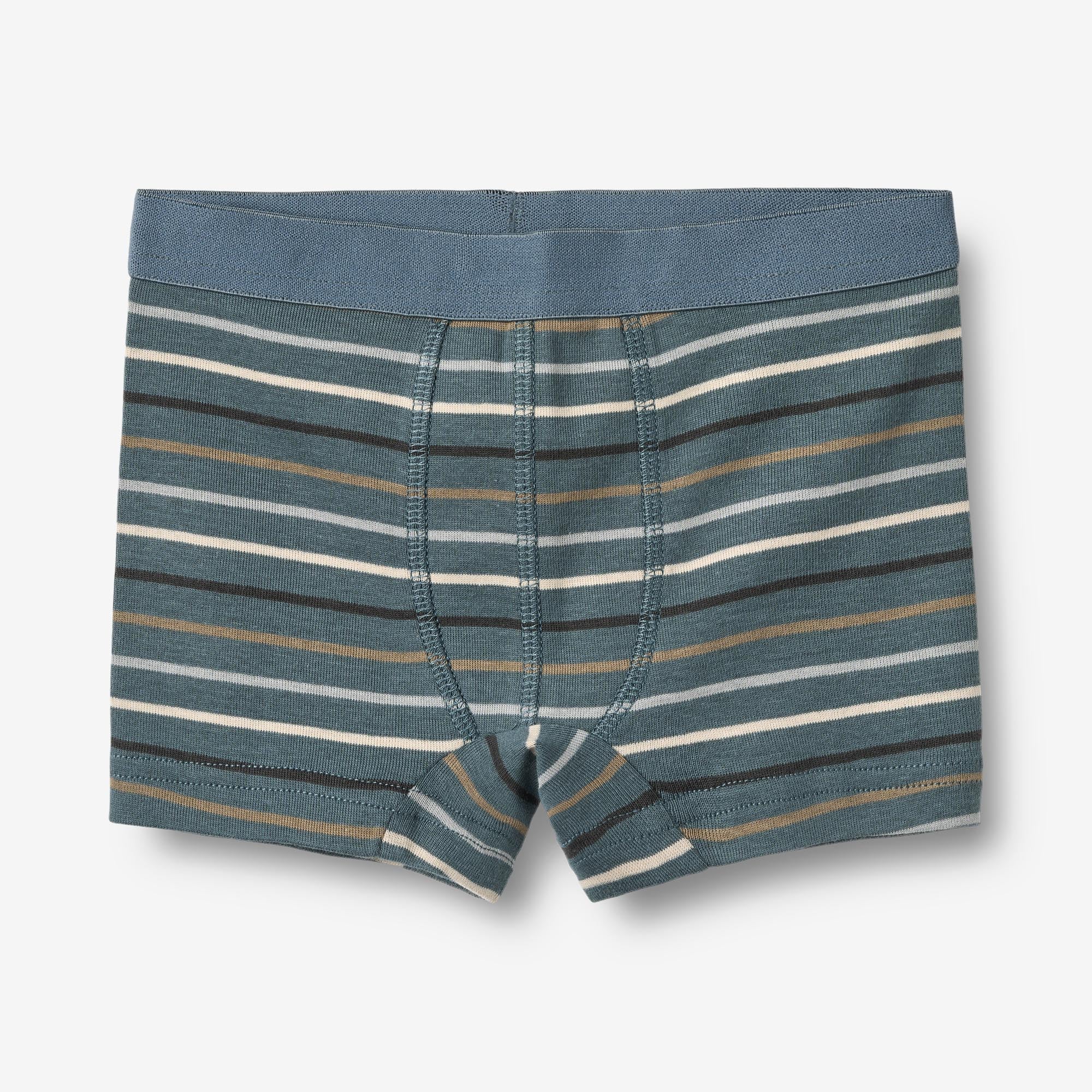 wheat-lui-unterw-sche-set-blue-multi-stripe-bio image 2
