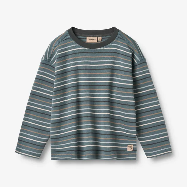 wheat-hans-t-shirt-jungen-blue-multi-stripe-langarm-bio image 1