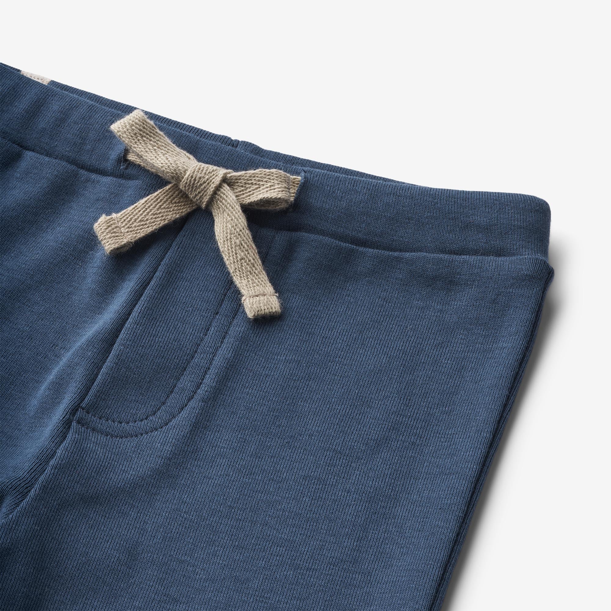 wheat-jersey-pants-manfred-hose-blue-waves-bio image 3