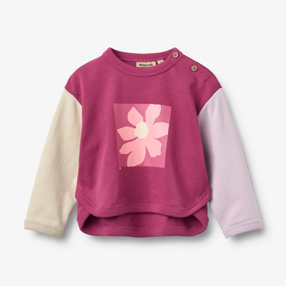wheat-emery-sweatshirt-magenta-bio-baumwolle-gr-62-92 image 1