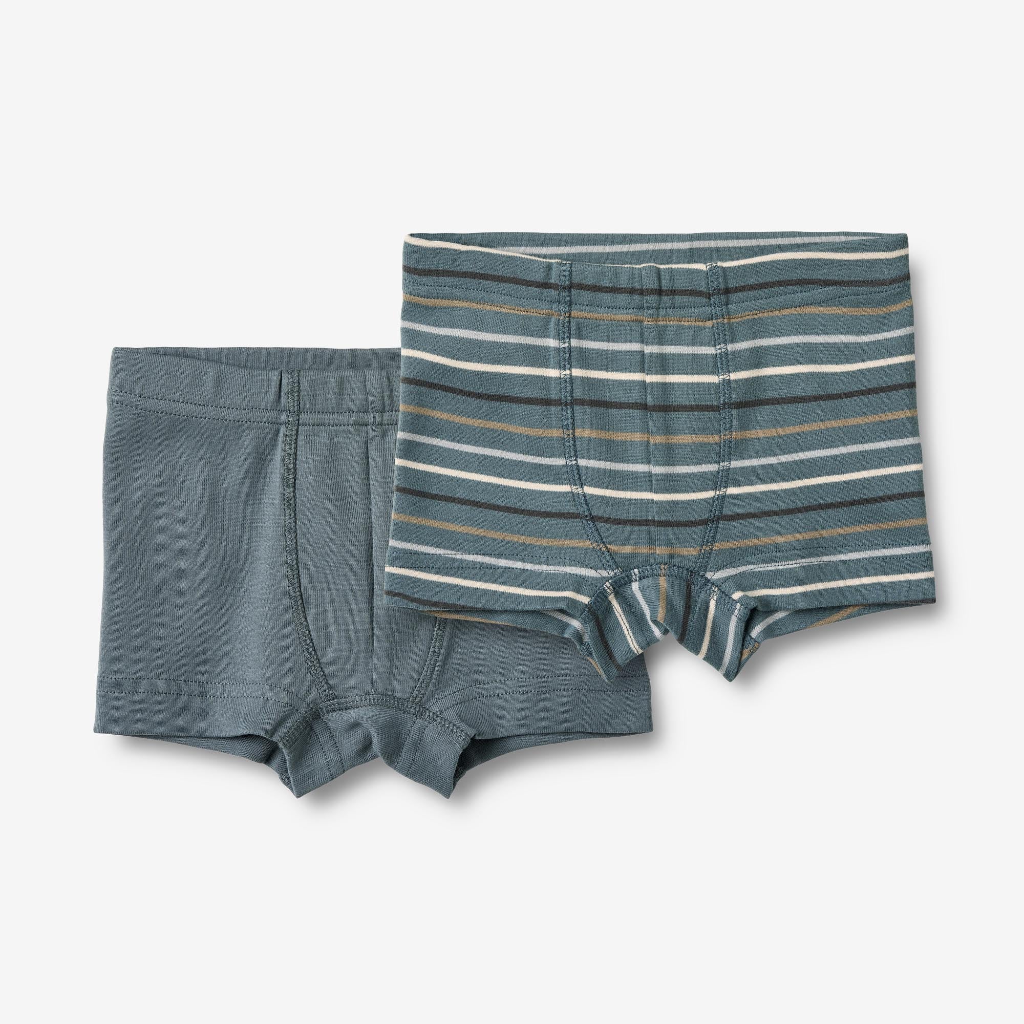 wheat-louis-boxershorts-2er-set-blau-gestreift-bio-baumwolle image 1