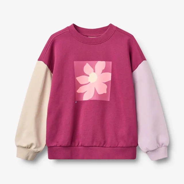 wheat-sweatshirt-elliot-pullover-magenta-bio-baumwolle image 1