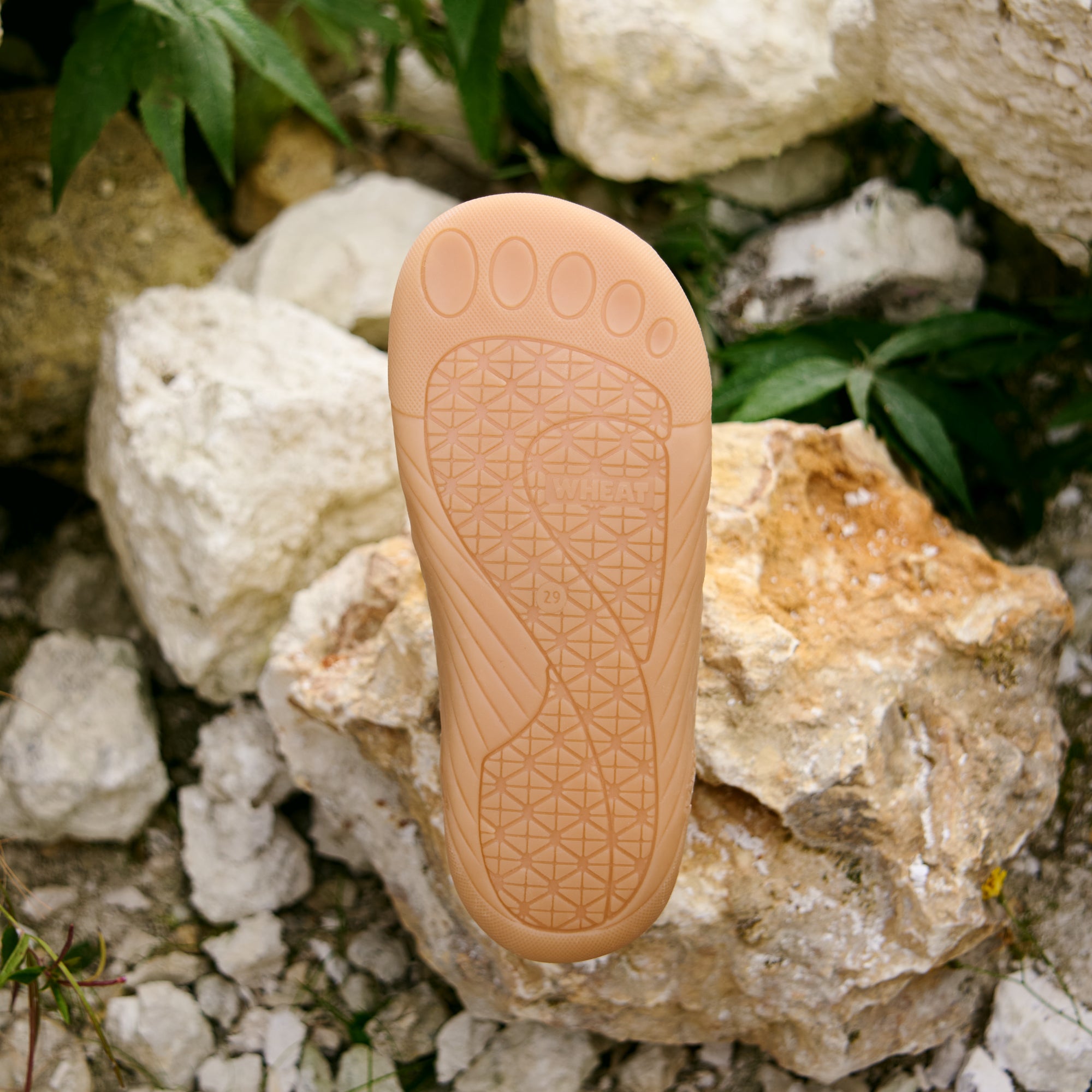 wheat-aslan-barfu-sneaker-dime-rose-bio-leder-blumen image 4