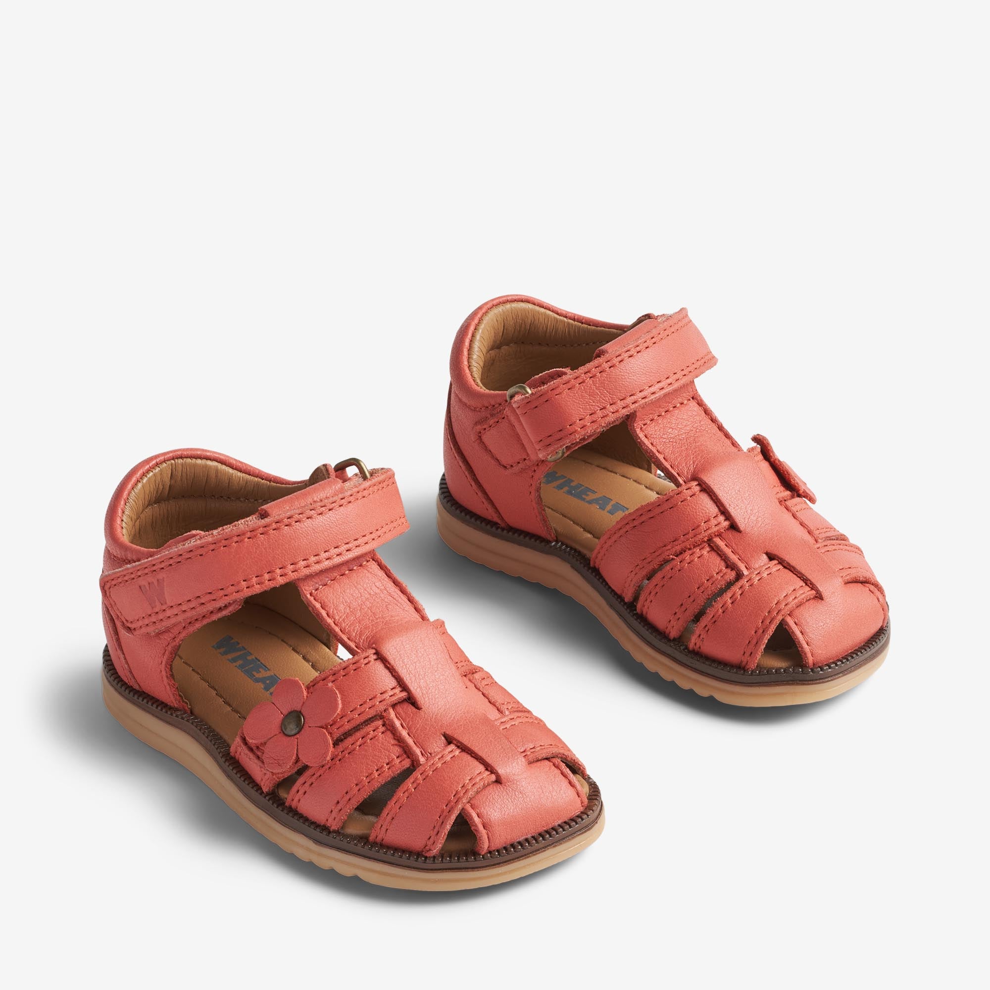 wheat-sky-flower-prewalker-coral-leder-blume image 1
