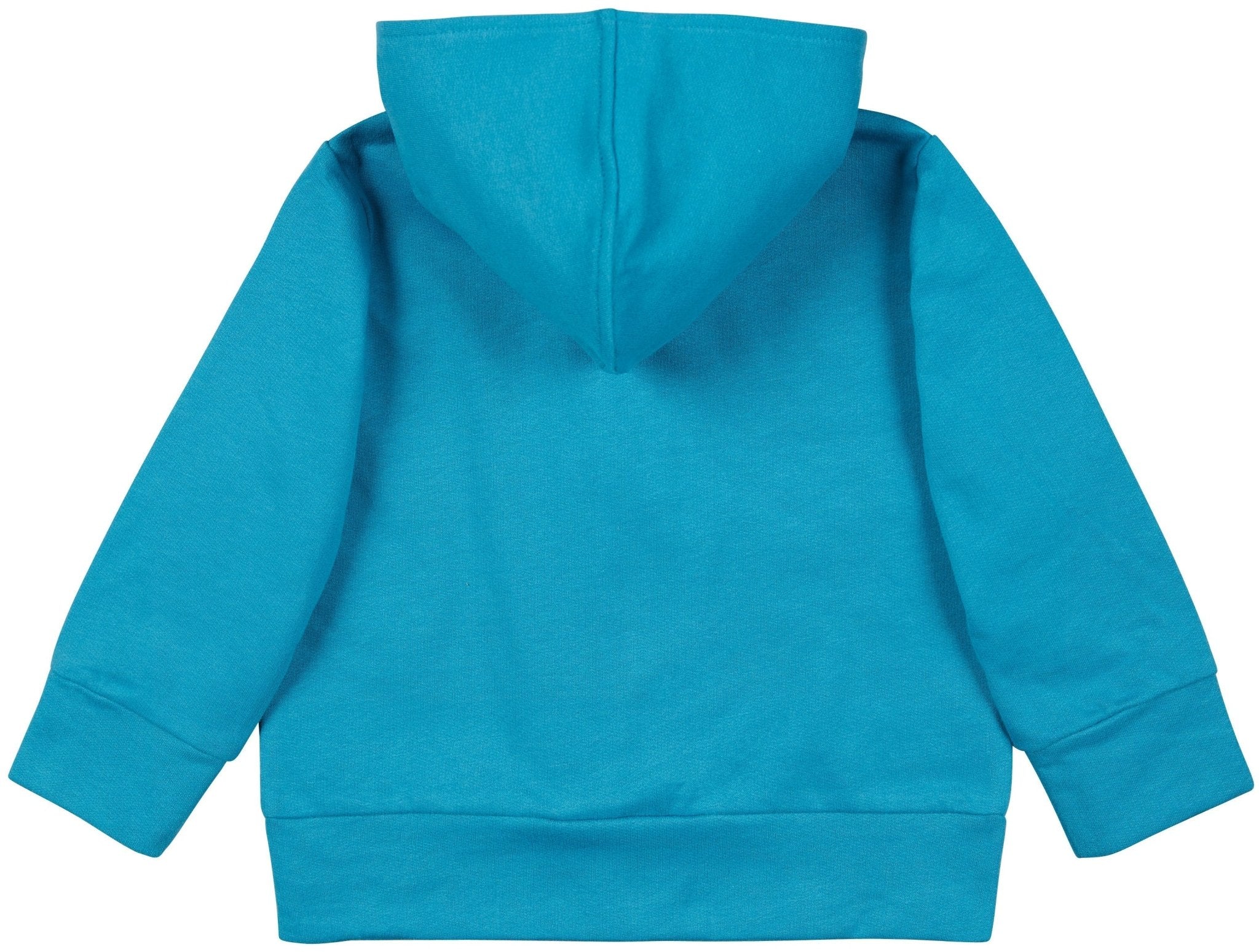 loud-proud-classics-sweatjacke-kapuze-grey-50-56-samtig image 8