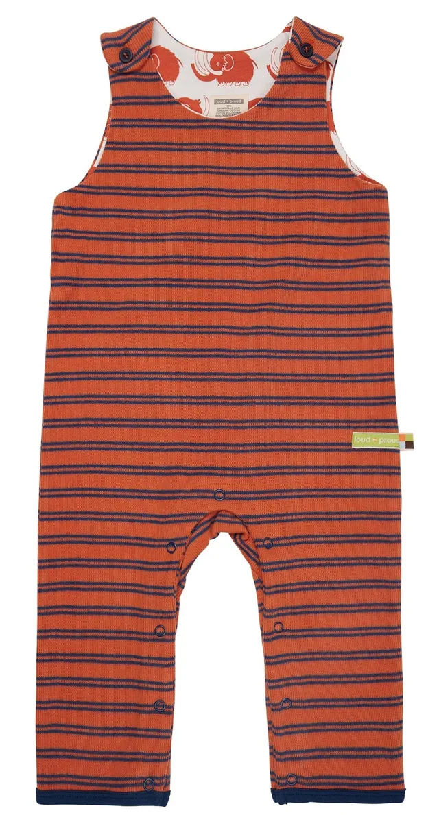 loud-proud-classics-strampler-ringel-cinnamon-50-56-interlock image 1