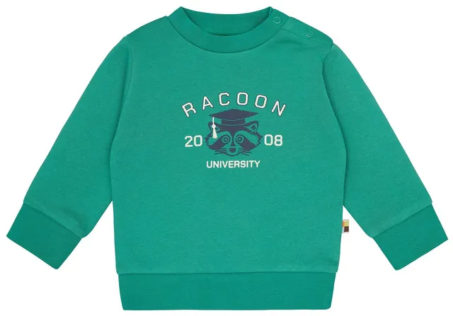 loud-proud-classics-sweatshirt-druck-plant-86-92-rau image 1