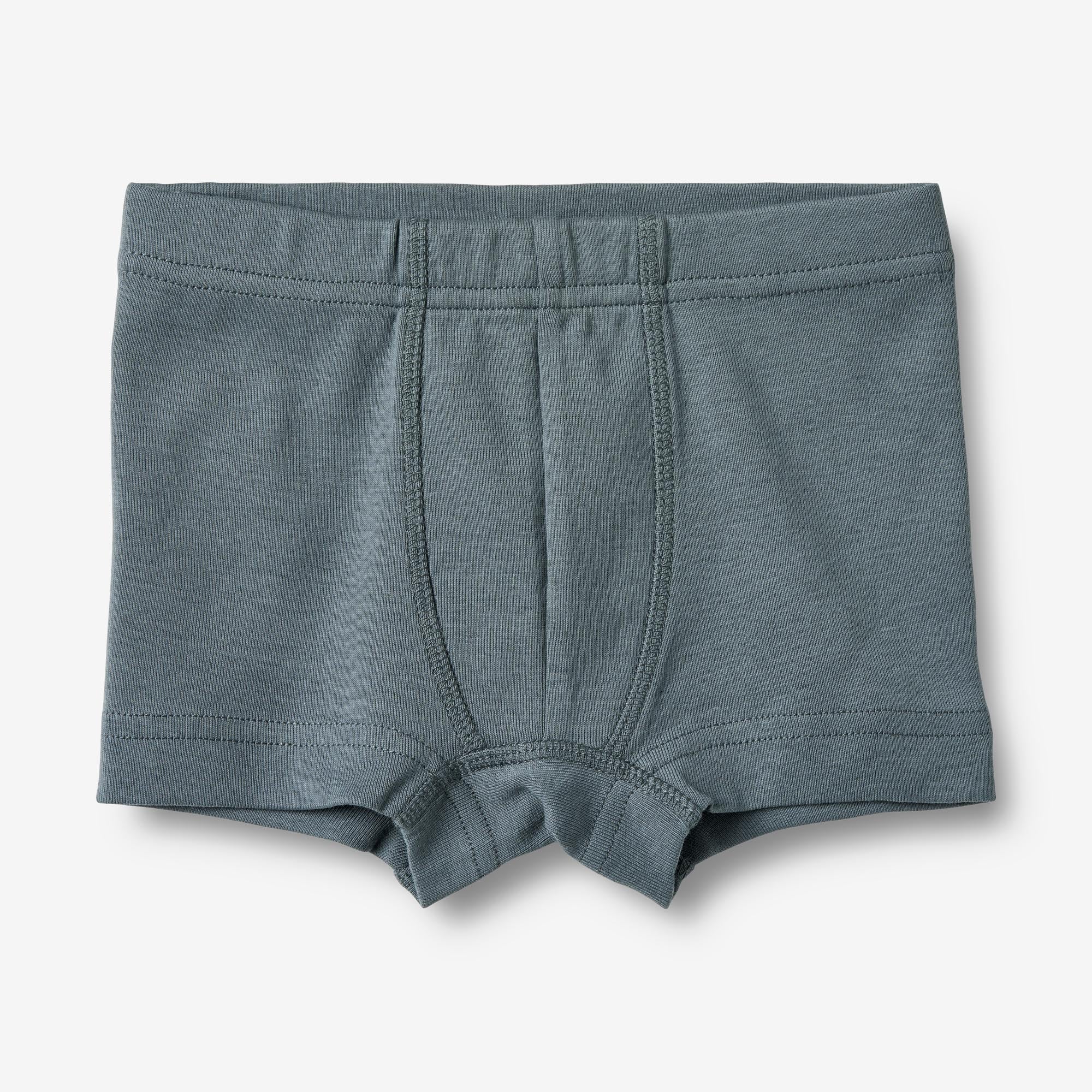 wheat-louis-boxershorts-2er-set-blau-gestreift-bio-baumwolle image 4
