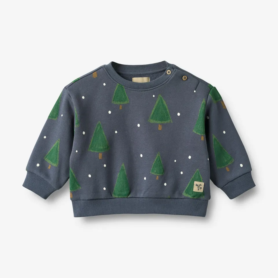 wheat-sandro-sweatshirt-greyblue-holiday-bio-baby image 1