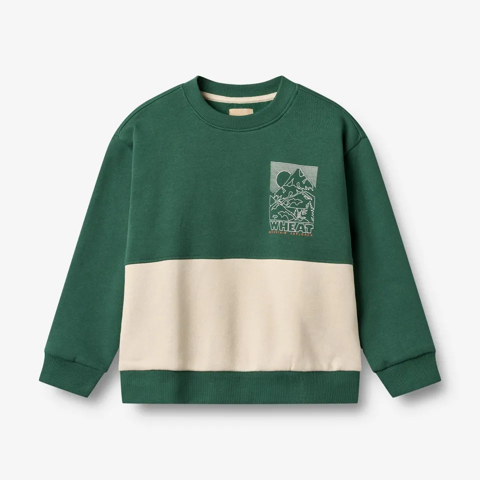 wheat-steff-sweatshirt-kinder-kale-bio-baumwolle image 1