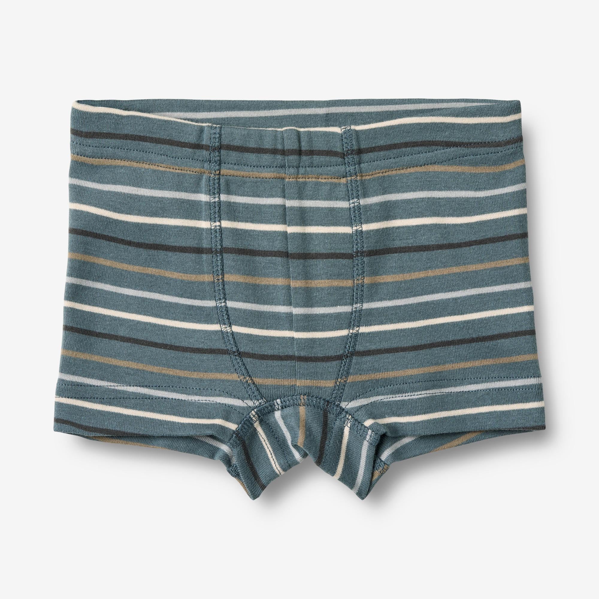 wheat-louis-boxershorts-2er-set-blau-gestreift-bio-baumwolle image 3