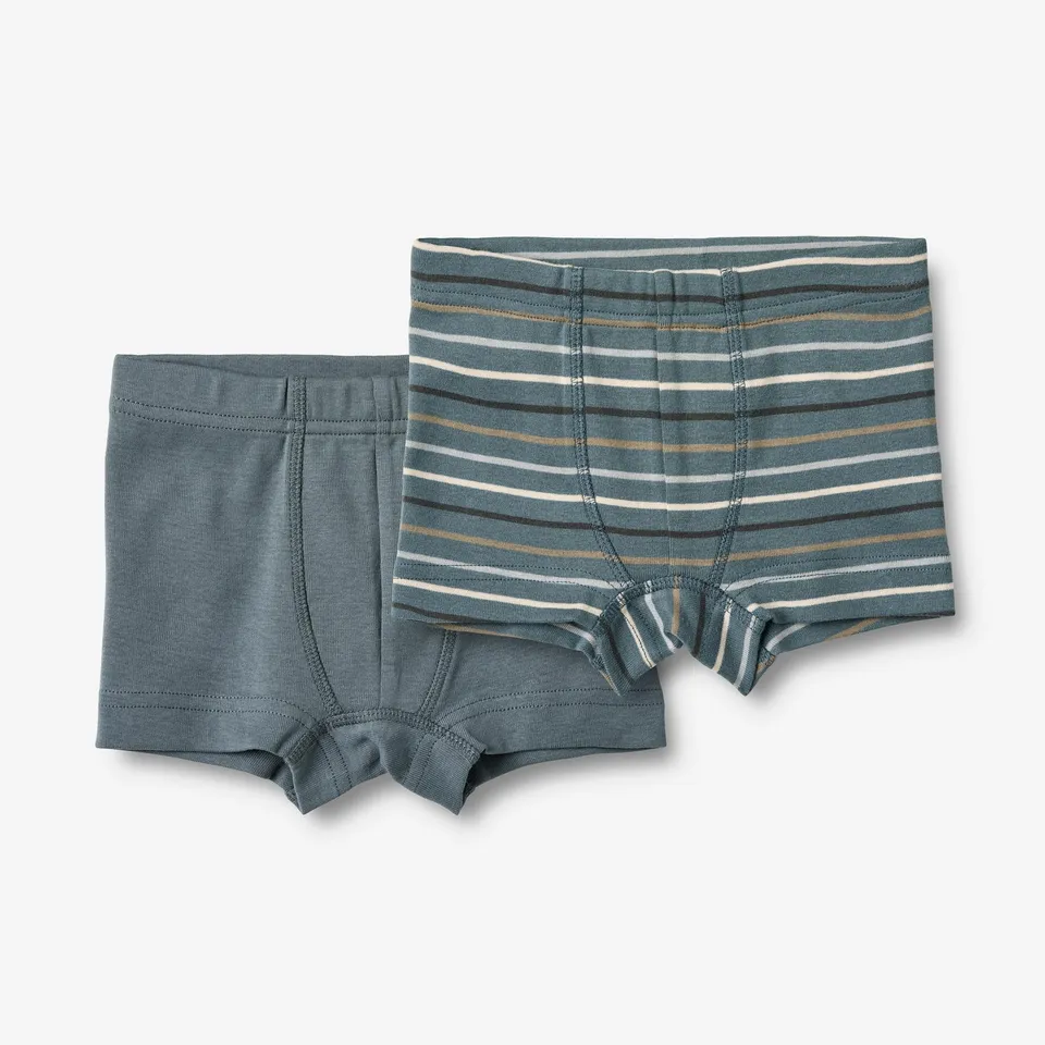 wheat-louis-boxershorts-2er-set-blau-gestreift-bio-baumwolle image 1