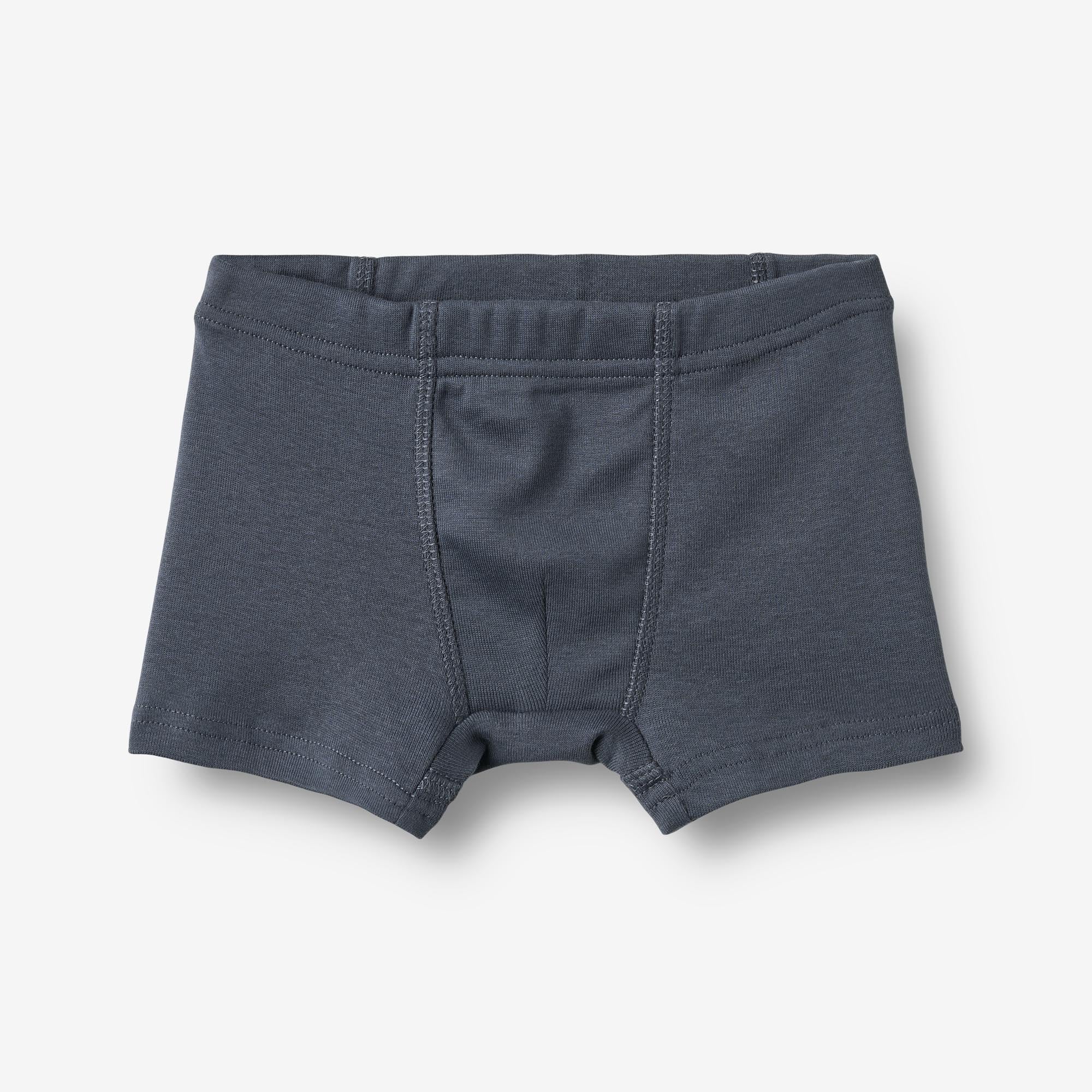 wheat-clothing-louis-boxershorts-jungen-greyblue-stripe-2er-bio image 5
